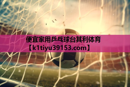 便宜家用乒乓球台其利体育