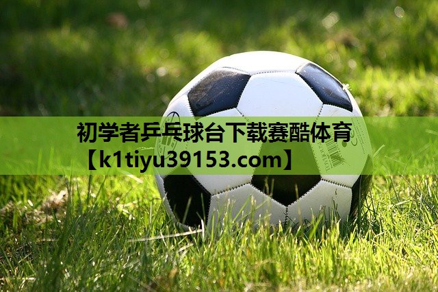 初学者乒乓球台下载赛酷体育