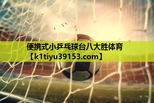 便携式小乒乓球台八大胜体育