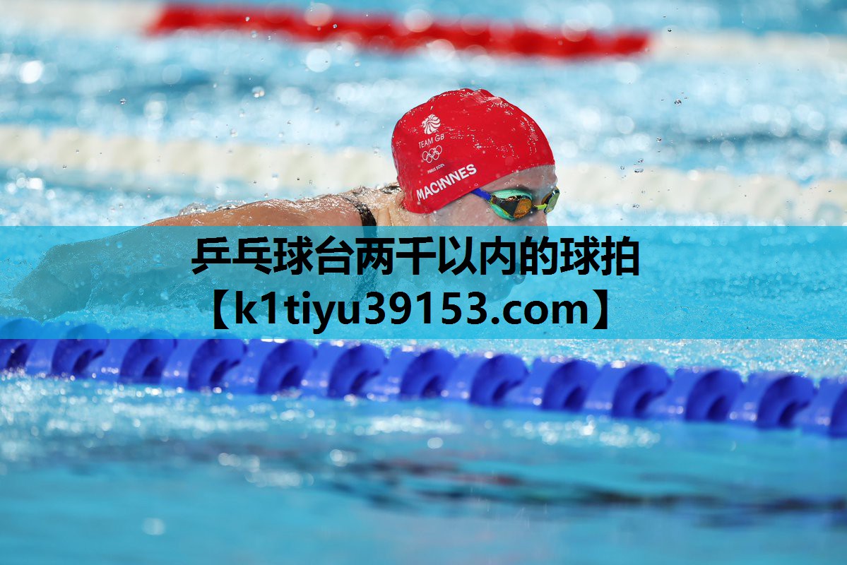 乒乓球台两千以内的球拍